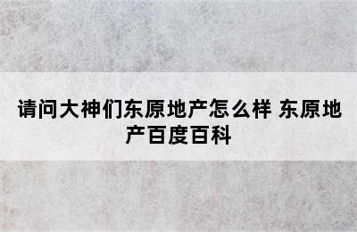 请问大神们东原地产怎么样 东原地产百度百科